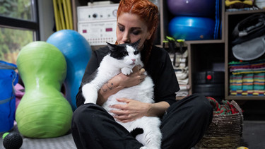 Obez kedi Boncuk, bir çocuk ağırlığına ulaştı: Diyet ve pilatesle zayıflatmaya çalışıyorlar