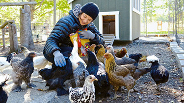 Yaş alıp oyunculuk teklifleri azalınca mektepli çiftçi oldu... Şimdi tavukların nasıl daha çok yumurtlayacağını hesaplıyor