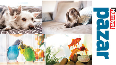 ‘İnternette çok bilgi var ama bir kısmı eksik ya da yanlış’