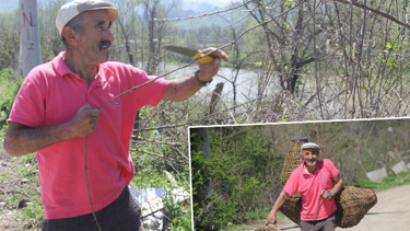 Dağlardan dikenlerini kesip topluyor: 1500 liradan satıyor | 30 yıl çürümüyor, elimde 5 tane kaldı
