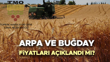 TMO BUĞDAY FİYATLARI 2026 GÜNCEL | 2026 Buğday fiyatları yükselir mi, ne olur Arpa ve buğday fiyatları açıklandı mı, ne zaman açıklanacak, kaç TL olacak Hububat, arpa ve buğday alım fiyatı son durum