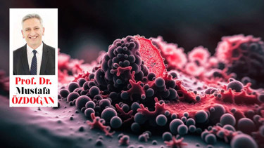 Tümörlerin içinde mikroplastik bulundu: Suçlu mu, tesadüf mü