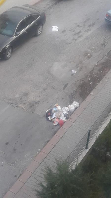 730 ağaç kurumuş ve kesilmiş