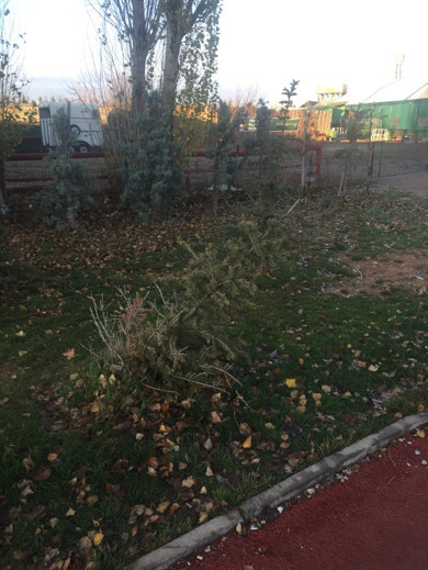 Çok katlı soru(n)lar