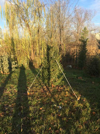 Çok katlı soru(n)lar