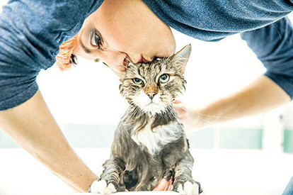 Onları nasıl mutlu edeceğiz