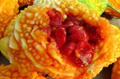 Midenizin Dostu Kudret Narı