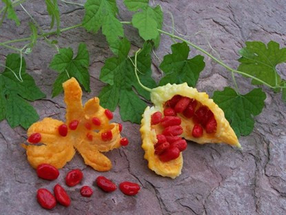 Midenizin Dostu Kudret Narı