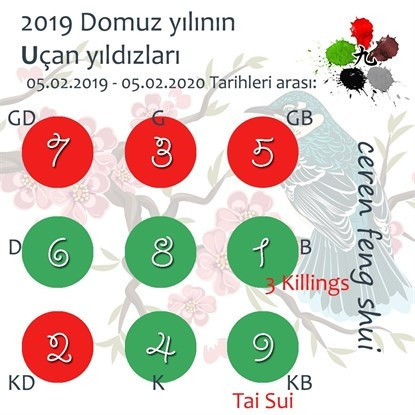 2019 Feng Shui Enerjileri