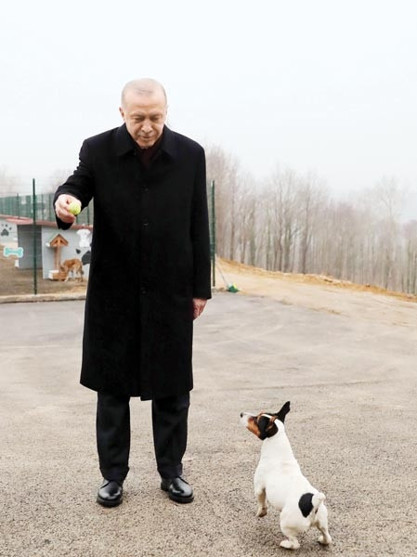 Maylo’nun dramatik hikayesi