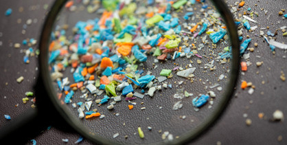 Bu bitki mikroplastikleri filtreliyor