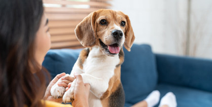 Köpekli evler çocuklar için daha iyi olabilir