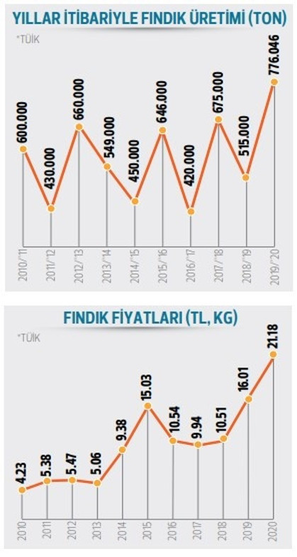 Fındıkta 30 TL beklentisi
