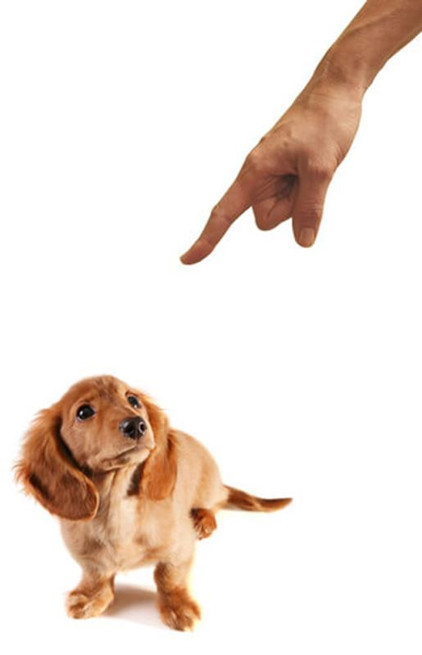 Ivanovoda jinsiy aloqa uchun qiz