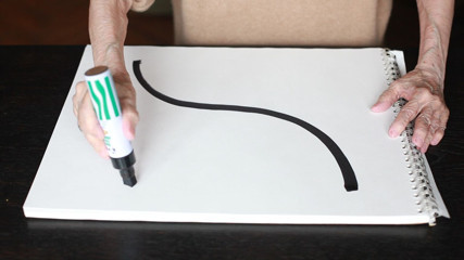 Geta Brătescu-Çizgi