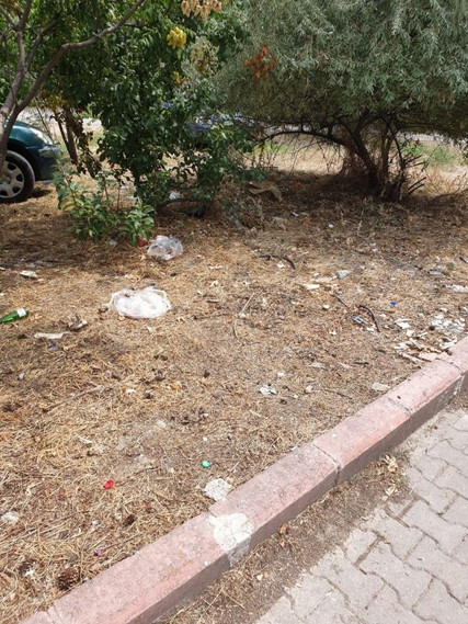 Okurların gözünden Ankara Sokakları