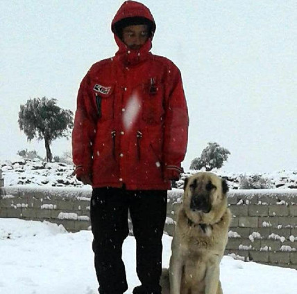 Son dakika haberi... Bu görüntü sosyal medyayı ayağa kaldırmıştı O köpeğin sahibi serbest kaldı