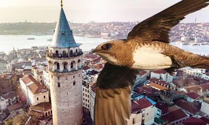 Bu atama İmamoğlu’nun başını çok ağrıtacak