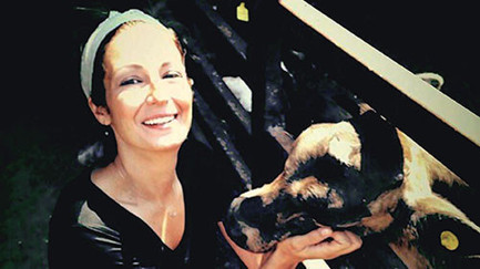 Tavşan Ralphi kurtaralım ama nasıl