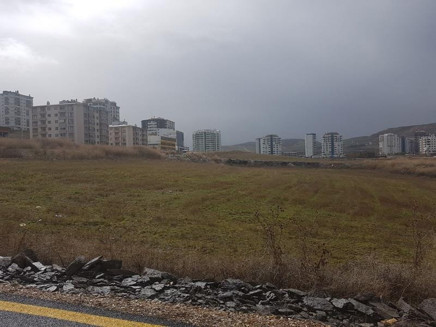 Okurların gözünden Ankara sokakları