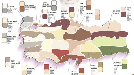 Türkiyenin renk haritası çıkarıldı