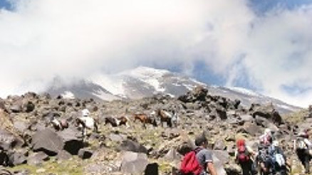Ağrı Dağı’nın yaz ziyaretçileri