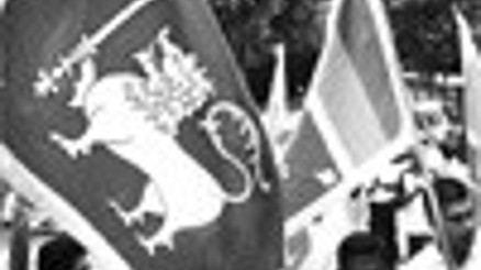 Tamil Tiger rebels concede defeat