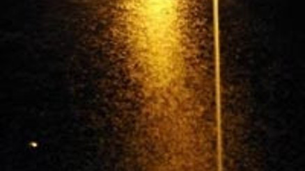 Kelebeklerin ölüm dansı