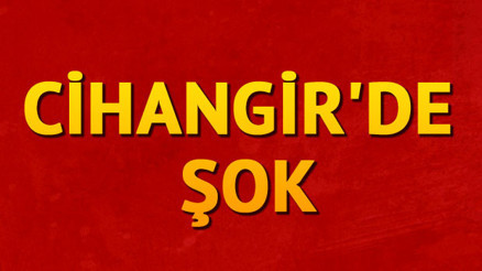 Cihangirde zehirli tırtıl paniği