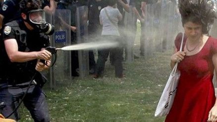 Kırmızılı Kadın davasında polisler birbirini suçladı