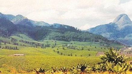 Afrika’nın çay vahasından okyanusun sonsuz mavisine Afrika’nın çay vahasından okyanusun sonsuz mavisine