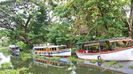 Vembanad’da cenneti yaşadım