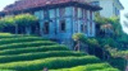 Brewing a future from tea tourism Brewing a future from tea tourism