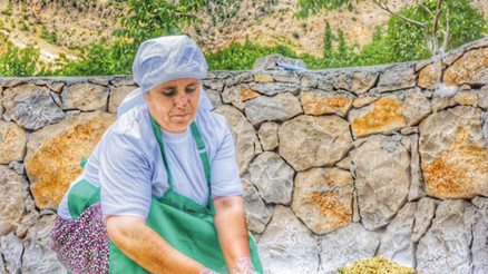 ‘Tut’un dutunu keşfetmek