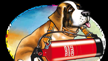 Köpek mamasıyla yangın söner mi