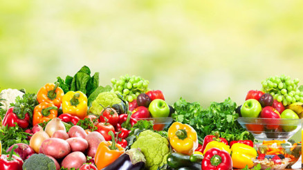 Gıda ile ilgili tüm sorular yanıt bulacak