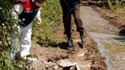Böyle plan, böyle cinayet filmlerde bile yok