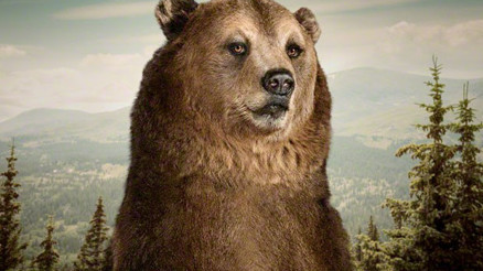 Öldüreni de var, süründüreni de