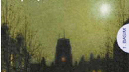 Aşktan ve hayattan intikam alan kadın