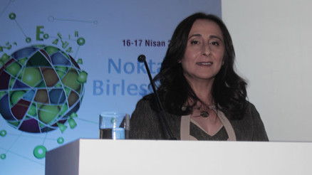 Araştırmacıları buluşturan zirve