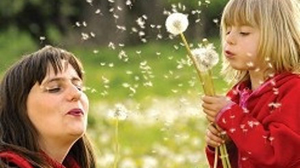 Polen alerjisi olan için kabus başlıyor