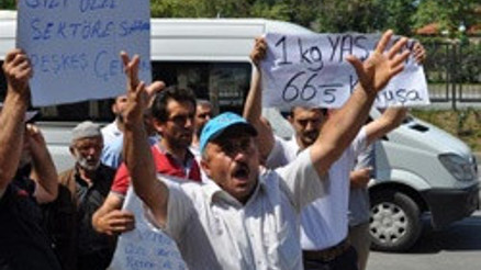 Yaş çay taban fiyatı 1 lira 22 kuruş olarak açıklandı