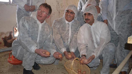 Manisa Valisinden organik yumurta