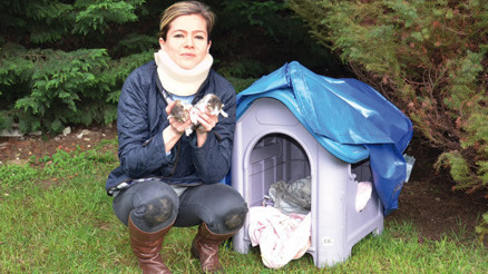 Naklen kedi kavgası: ‘Kediye de sana da çakarım’