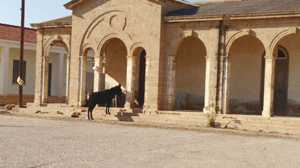 Seyahat fotoğrafları