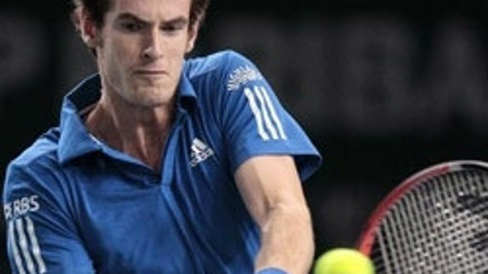 Roddick adını çeyrek finale yazdırdı