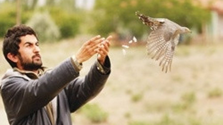 Kuşların kalbine dokunan adam
