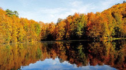 İstanbul’dan Artvin’e en güzel sonbahar manzaralı 10 otomobil rotası