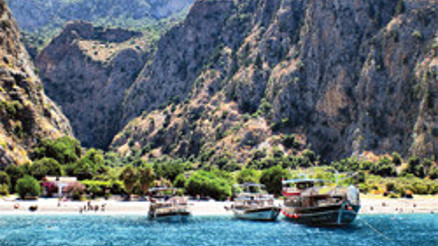 Vadi yerinde, ya kelebekler