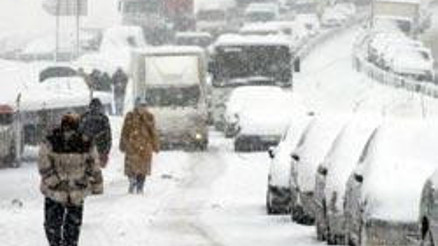 Karın 8 çeşidi var